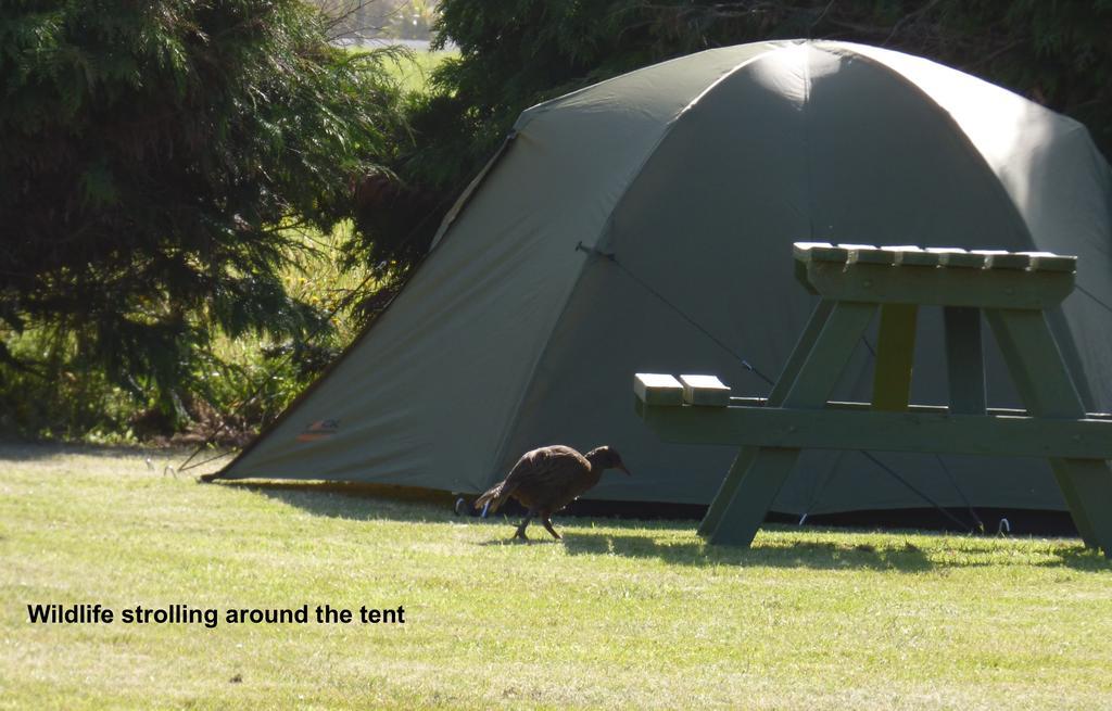 Carters Beach Top 10 Holiday Park Westport Exterior foto